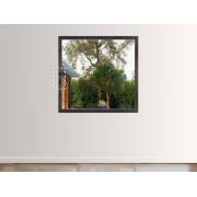 Fenêtre Aluminium 1 Vantail Tirant Droit (option Ferrage Invisible)