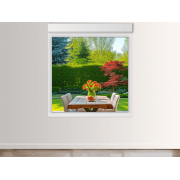 Châssis Fixe PVC avec Volet Roulant Intégré