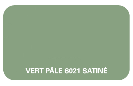 vert pâle 6021 satiné.png
