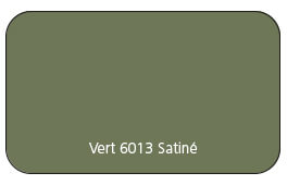 Vert 6013 Satiné.jpg