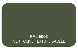 RAL-6003-Vert-Olive-texture-sablée.jpg