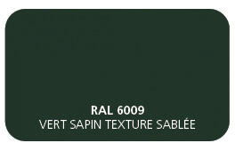 RAL-6009-Vert-Sapin-texture-sablée.jpg
