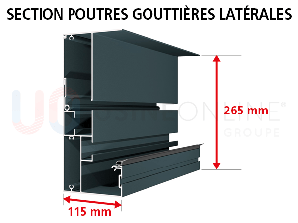 section-poutres-gouttieres-laterales.png