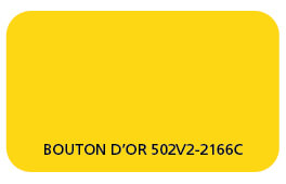 Bouton d’or 502V2-2166C.jpg