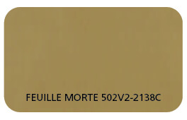 Feuille morte 502V2-2138C.jpg