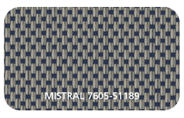 MISTRAL-7605-51189.png